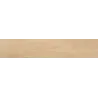 Carrelage sol extérieur effet bois Bornéo naturel R11